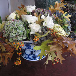 Garden Roses