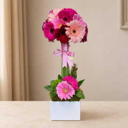 Pink and magenta gerbera daisy arrangement in a white square vase with a ribbon