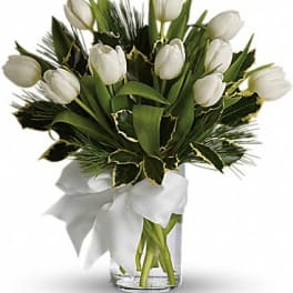 Tulips And Pine