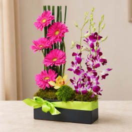 Pink gerbera daisies and purple orchids in a black box with a green ribbon