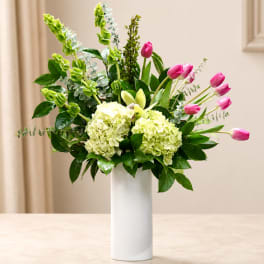 Pink tulips and pale green hydrangeas in a white vase