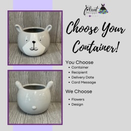Two gray ceramic bear-face planters with ear handles