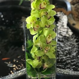Green orchid stems arranged in a clear rectangular vase