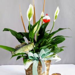 Gone Fishin' Peace Lily - 6" Planter