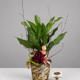 Tropical plant arrangement in a woven basket with burgundy flowers and decorative branches