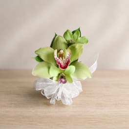 Green orchid corsage with a white ribbon bow