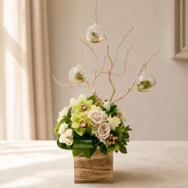 Wedding floral arrangement with roses and orchids in a wooden box, topped with hanging glass terrariums