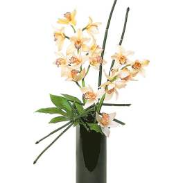 Artful Orchids
