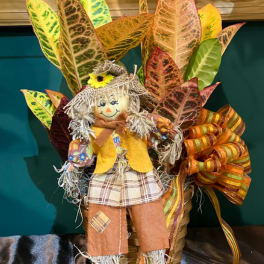 Autumn Croton