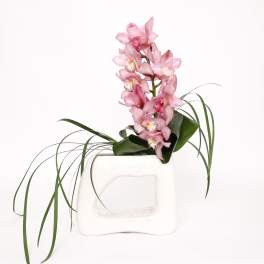 Pink orchid stems arranged in a white ceramic vase with long grass-like leaves