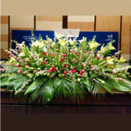 PODIUM ARRANGEMENT 119 [TTPOD119]