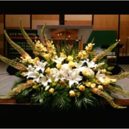 PODIUM ARRANGEMENT 105 [TTPOD105]