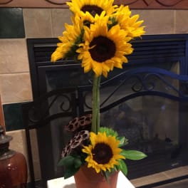 Sunflower arrangement in a terracotta pot with a tall stem and one lower bloom