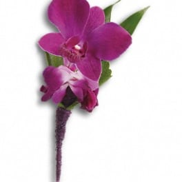 Purple orchid boutonniere with green leaves