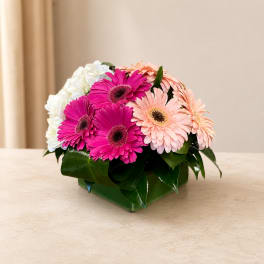 Pink and peach gerbera daisies arranged in a green square vase
