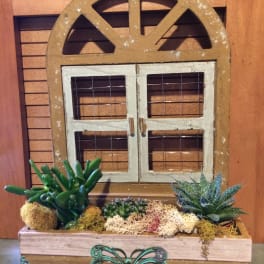Succulent arrangement in a decorative wooden planter with a window frame backdrop