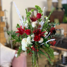 Christmas Roses Gallore