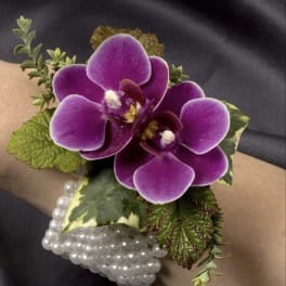 Purple orchid corsage with pearl bracelet on a wrist