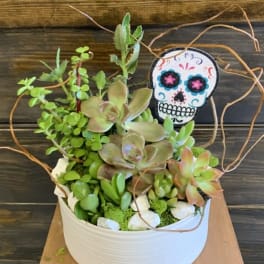 The Scottsdale Succulent Bowl