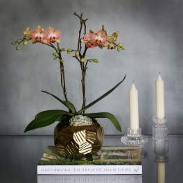 Geometric & Bronze - Pasadena Florist