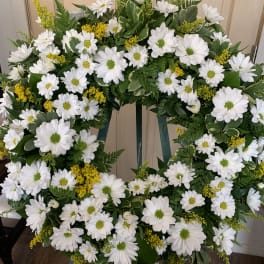 Daisy Circle of Life