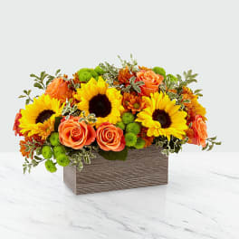 The Happy Harvest Garden