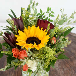 Sunflower and rose arrangement in a square glass vase