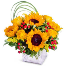Sunflower Praise