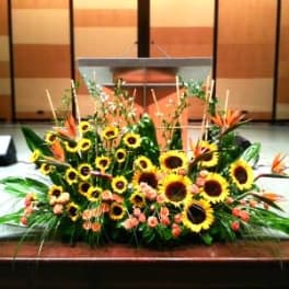 PODIUM ARRANGEMENT 28 [TTPOD28]