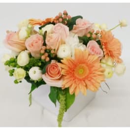 Peach and white bouquet with gerbera daisies and roses in a white container