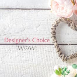 Designer's Choice - WOW!