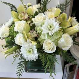 Christmas White