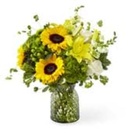 Sunflower bouquet in a glass vase with green filler