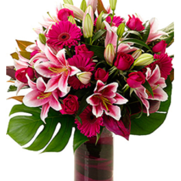 hot pink flowers