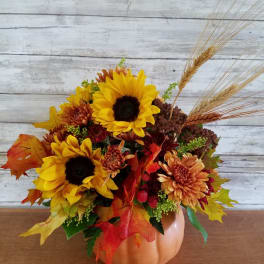 Pretty Pumpkin- One Sided Arrangement
