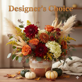 Designer's Choice