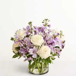 Lovely Lavender Medley™