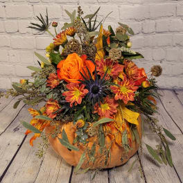 Gourdgeous