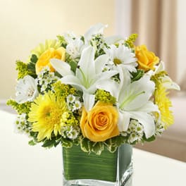 Healing Tears - Yellow and White