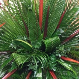 Large tropical arrangement of palm fronds and red-tipped foliage