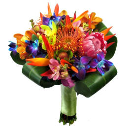 Colorful tropical bouquet with orchids and orange protea