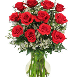 Red Roses and Wispy Whites