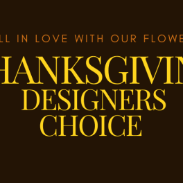 Thanksgiving Designers Choice text on a dark brown background