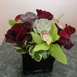 Black Baccara