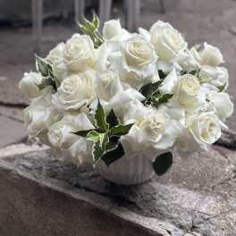 Elegance: White roses
