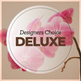 Pink orchid blooms with the words Designers Choice Deluxe