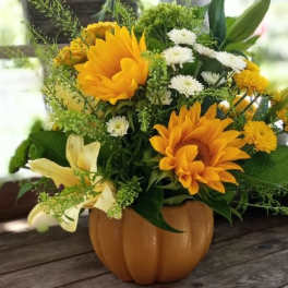 Sunflower and white daisy arrangement in a pumpkin-shaped container