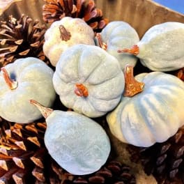 Decorative Pumpkins - Bag of 6