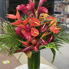 Tropical Eden