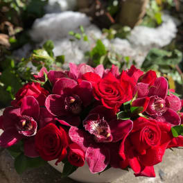 Red roses and burgundy orchids arranged in a white bowl